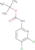 tert-Butyl N-(5,6-dichloro-2-pyridyl)carbamate