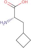 L-Cyclobutylalanine