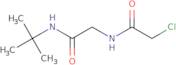 N-tert-Butyl-2-(2-chloroacetamido)acetamide