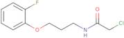 2-Chloro-N-[3-(2-fluorophenoxy)propyl]acetamide