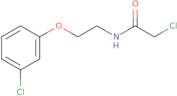 2-Chloro-N-[2-(3-chlorophenoxy)ethyl]acetamide