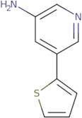 5-(Thiophen-2-yl)pyridin-3-amine