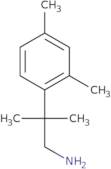 2-(2,4-Dimethylphenyl)-2-methylpropan-1-amine