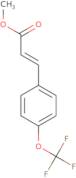 Methyl 3-[4-(trifluoromethoxy)phenyl]acrylate