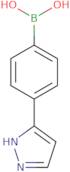 [4-(1H-Pyrazol-5-yl)phenyl]boronic acid