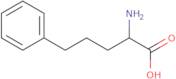 (2R)-2-Amino-5-phenylpentanoic acid