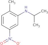 Isopropyl-(2-methyl-5-nitro-phenyl)-amine