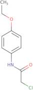 2-Chloro-N-(4-ethoxyphenyl)acetamide