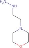 4-(2-Hydrazinylethyl)morpholine