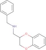 Benzyl-(2,3-dihydro-benzo[1,4]dioxin-2-ylmethyl)-amine