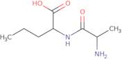 2-(2-Aminopropanamido)pentanoic acid