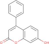 7-Hydroxy-4-phenyl-2H-chromen-2-one