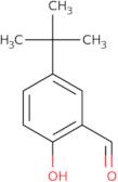 5-tert-Butyl-2-hydroxybenzaldehyde