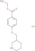 N,N-Dimethyl-2-hydroxy-3-methoxy-5-nitrobenzyl amine