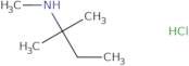 Methyl(2-methylbutan-2-yl)amine hydrochloride