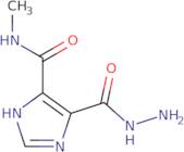 5-(Hydrazinocarbonyl)-N-methyl-1H-imidazole-4-carboxamide