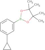 2-(3-Cyclopropylphenyl)-4,4,5,5-tetramethyl-1,3,2-dioxaborolane