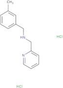 [(3-Methylphenyl)methyl](pyridin-2-ylmethyl)amine dihydrochloride