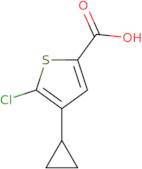 5-chloro-4-cyclopropylthiophene-2-carboxylic acid