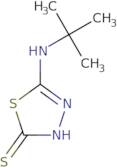 5-(tert-Butylamino)-1,3,4-thiadiazole-2-thiol