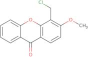 4-(Chloromethyl)-3-methoxy-9H-xanthen-9-one