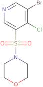 Methacryloxypropylsilatrane (inhibited with MEHQ)