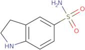 2,3-Dihydro-1H-indole-5-sulfonic acid amide