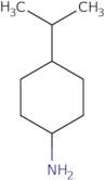 4-Isopropylcyclohexylamine (cis- and trans- mixture)