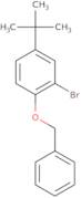 1-Benzyloxy-2-bromo-4-t-butylbenzene