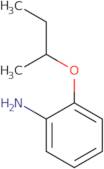 (2-Sec-butoxyphenyl)amine