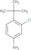 4-tert-butyl-3-chloroaniline