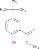 Methyl 5-tert-butyl-2-hydroxybenzoate