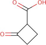 2-Oxocyclobutanecarboxylic acid