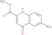 Methyl 6-Amino-4-oxo-1,4-dihydroquinoline-2-carboxylate