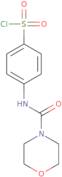 4-[(Morpholine-4-carbonyl)-amino]-benzenesulfonyl chloride