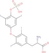 Thyroxine 4-O-Sulfate