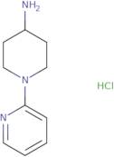 4-Amino-1-(2-pyridyl)piperidine hydrochloride