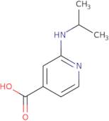 2-(Isopropylamino)isonicotinic acid