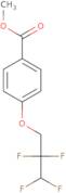 Methyl 4-(2,2,3,3-tetrafluoropropoxy)benzoate