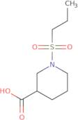 1-(Propane-1-sulfonyl)piperidine-3-carboxylic acid