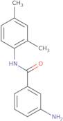 3-Amino-N-(2,4-dimethylphenyl)benzamide