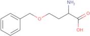 2-Amino-4-(benzyloxy)butanoic acid
