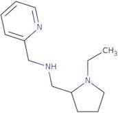 (1-Ethyl-pyrrolidin-2-ylmethyl)-pyridin-2-ylmethyl-amine