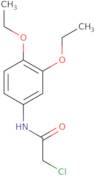 2-Chloro-N-(3,4-diethoxyphenyl)acetamide