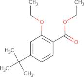 Ethyl 4-tert-butyl-2-ethoxybenzoate