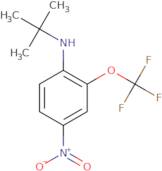 N-tert-Butyl-4-nitro-2-(trifluoromethoxy)aniline