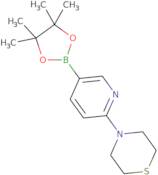 4-[5-(Tetramethyl-1,3,2-dioxaborolan-2-yl)pyridin-2-yl]thiomorpholine