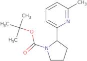 tert-Butyl 2-(6-methylpyridin-2-yl)pyrrolidine-1-carboxylate