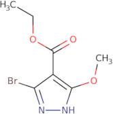 Ethyl 3-bromo-5-methoxy-1H-pyrazole-4-carboxylate