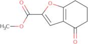 Methyl 4-oxo-4,5,6,7-tetrahydro-1-benzofuran-2-carboxylate